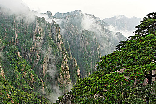 麦可奈因真的很厉害吗C1B8D97C5-18975